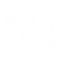 Bellville City club crest